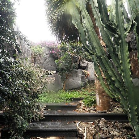 Villa Remedios Teguise  Room photo